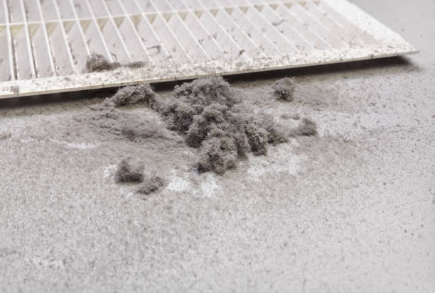 Best HVAC Duct Inspection Services  in Hemlock Farms, PA